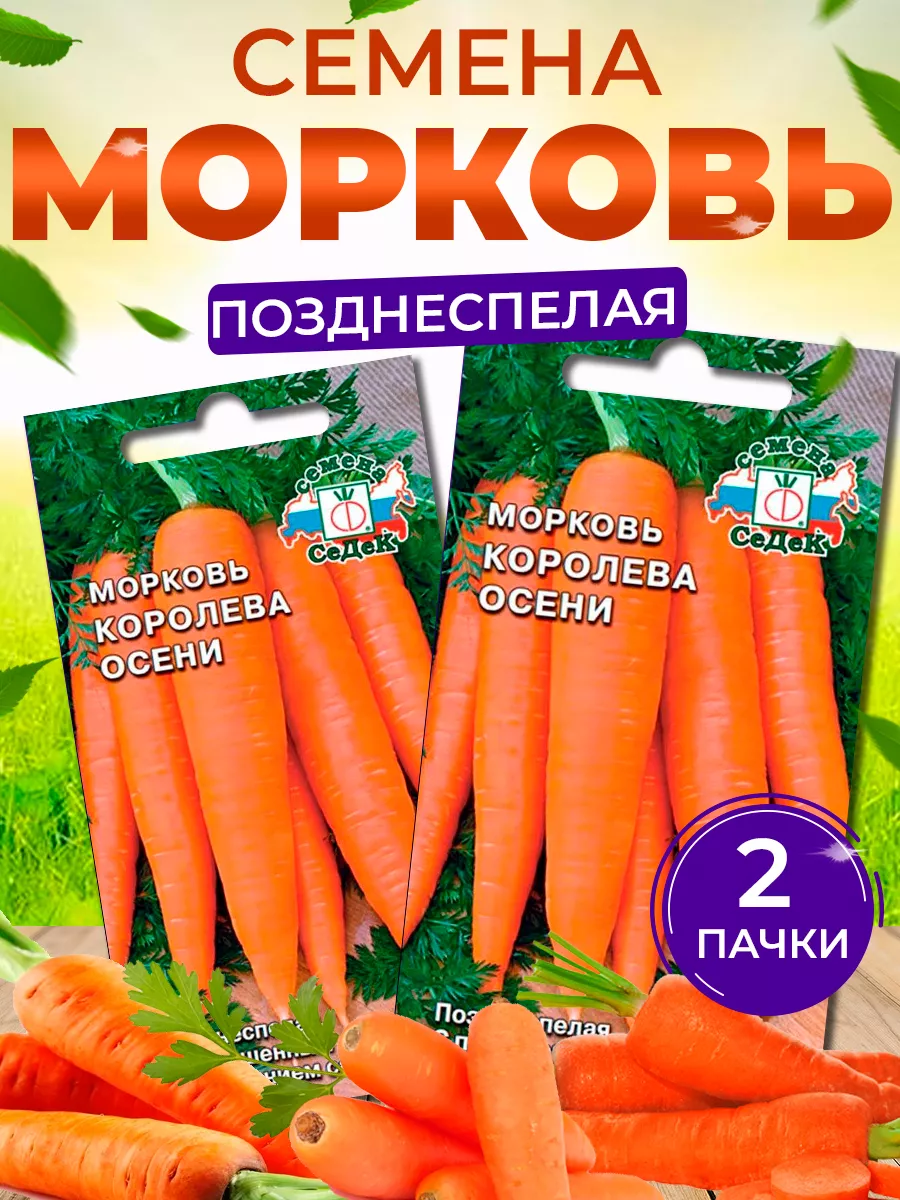 Королева Осени Морковь Фото Отзывы Описание