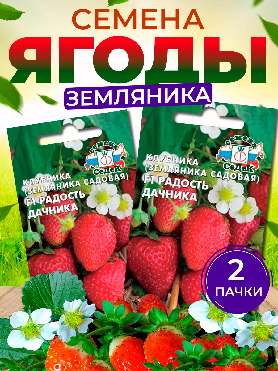 Семена клубники Радость Дачника СеДек 100810579 купить за 264 ₽ в  интернет-магазине Wildberries