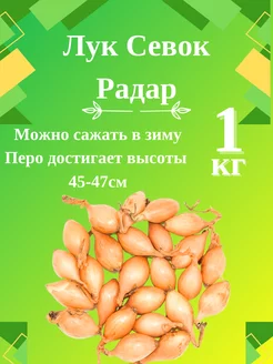 Лук севок сорт "Радар" 1 кг. ОгородNIK 100818973 купить за 410 ₽ в интернет-магазине Wildberries