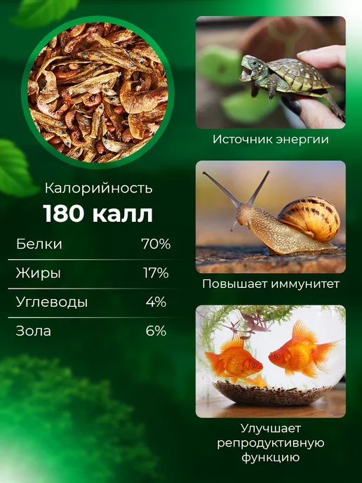 Big Tiny Корм для черепах крыс и хомяков креветка, гаммарус, рыбка, вариант, фото 5