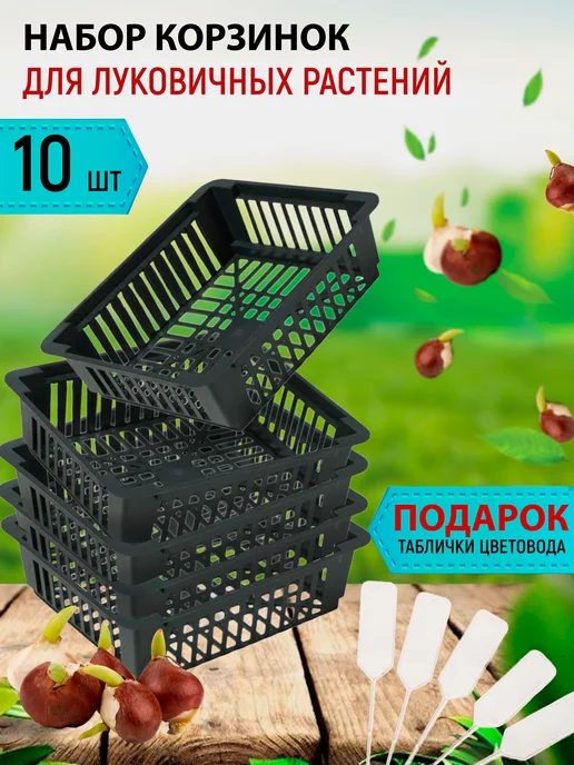 Тимирязевка Корзинка для луковичных, 5шт в комплекте, 245х205х70мм, 10 шт
