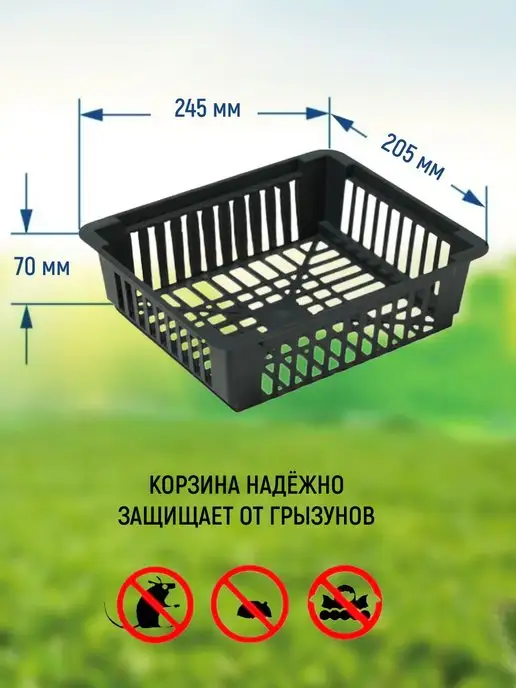 Тимирязевка Корзинка для луковичных, 5шт в комплекте, 245х205х70мм, 10 шт, фото 2