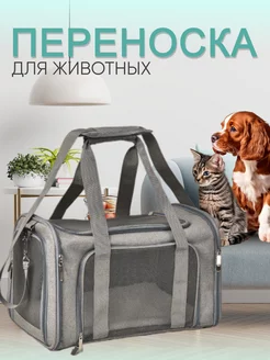 Переноска для кошек и собак RNB4pets 100884934 купить за 1 141 ₽ в интернет-магазине Wildberries