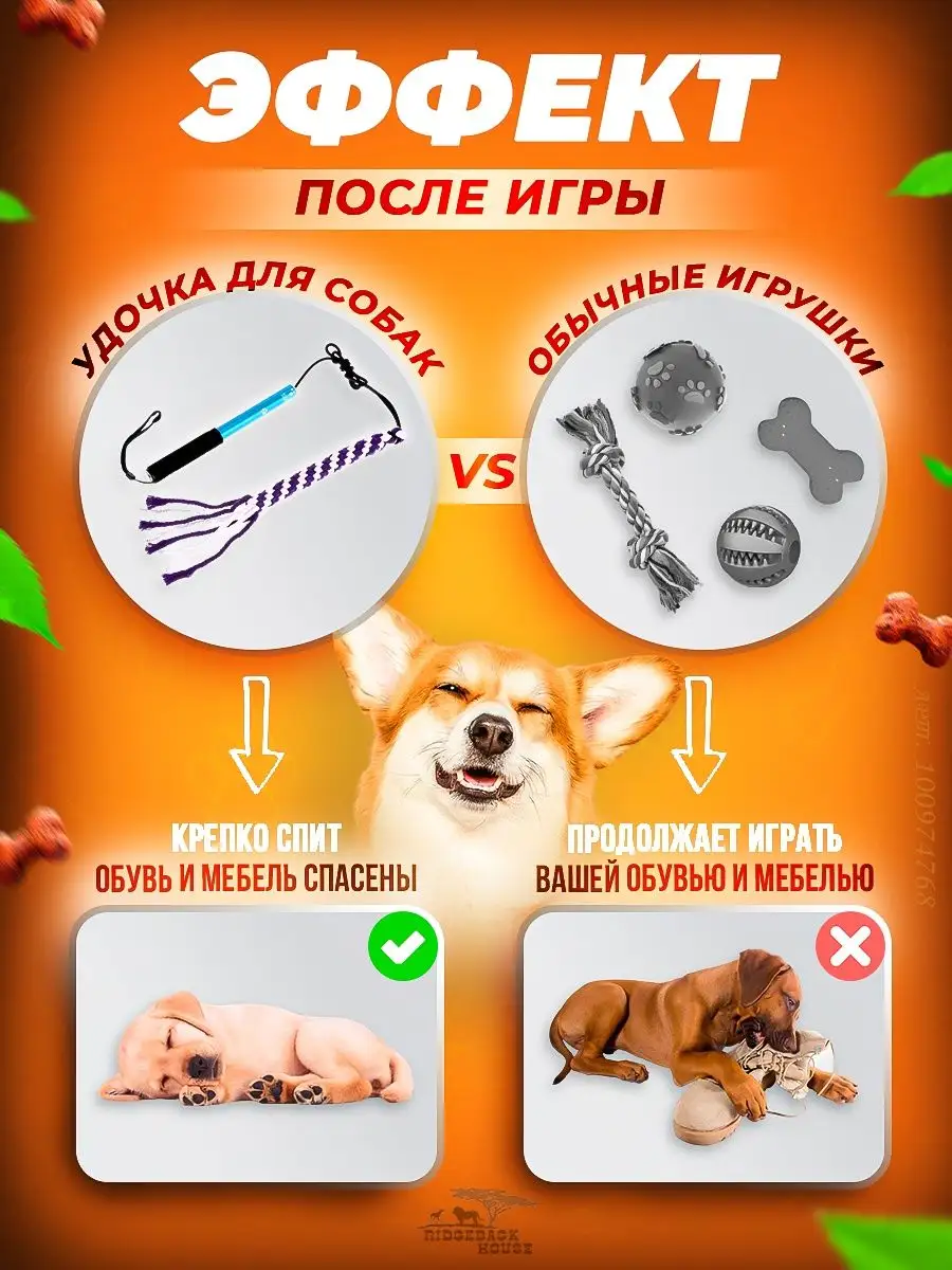 Интерактивная игрушка удочка дразнилка для дрессировки собак Ridgeback  House 100974767 купить за 1 395 ₽ в интернет-магазине Wildberries