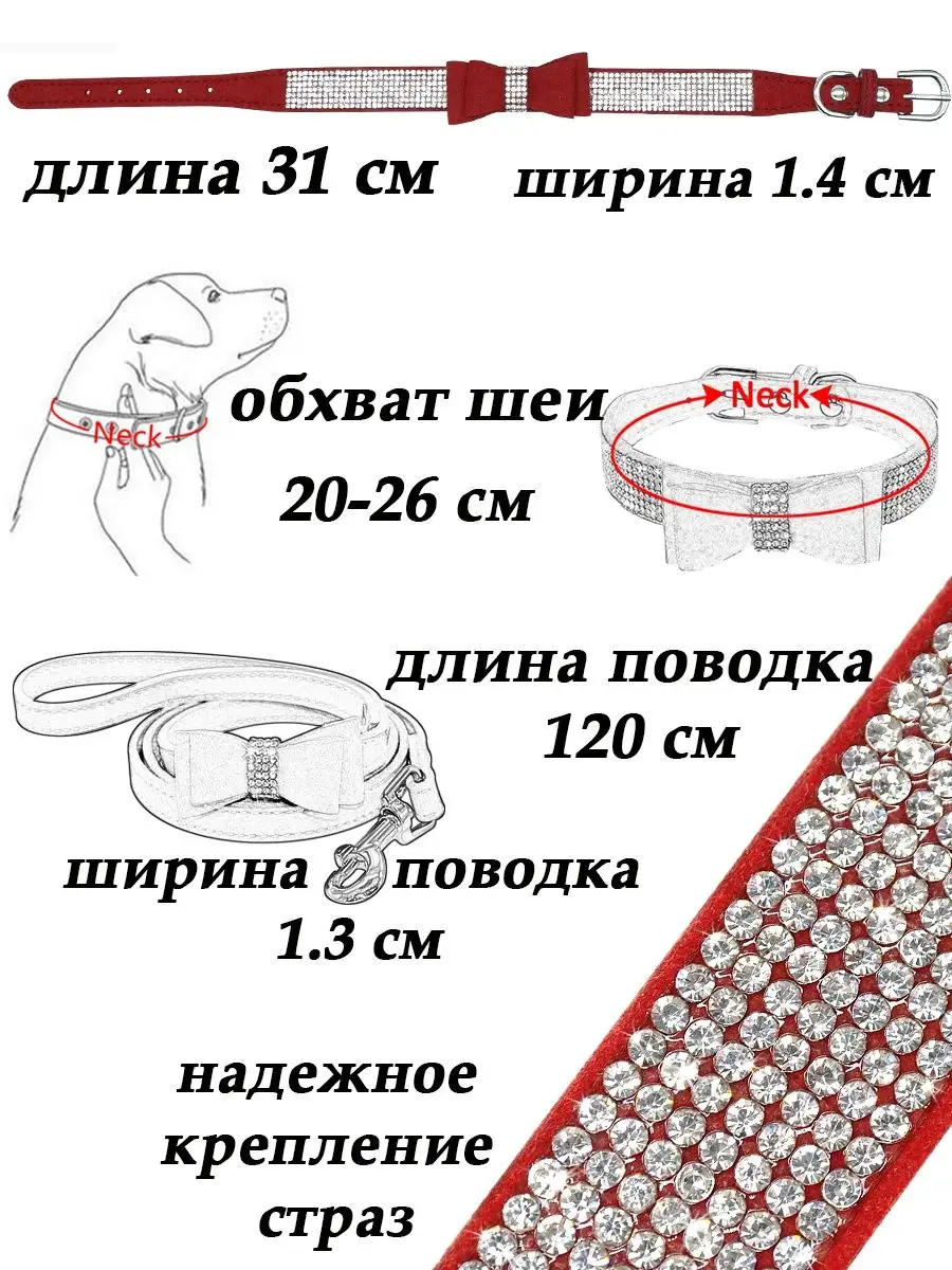 ProRule Поводок и ошейник для собак, кошек