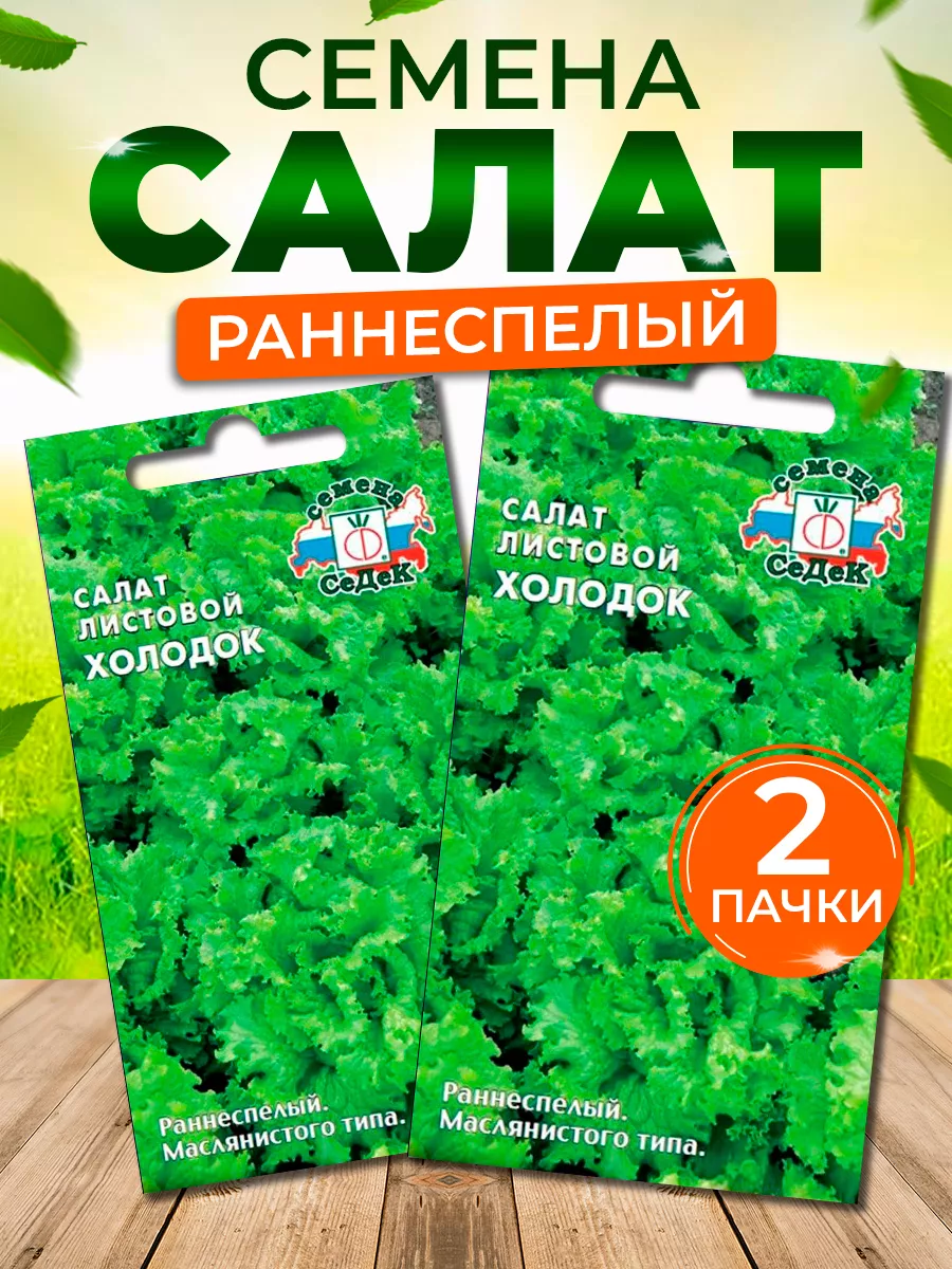 Семена салата Холодок листовой для посадки