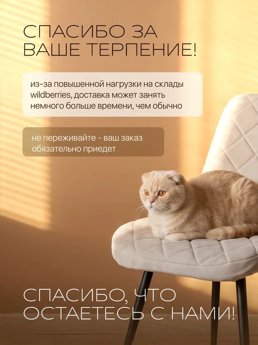 chiedocover Чехлы на стулья со спинкой Имс (Eames) 2 шт, 2 шт, фото 2