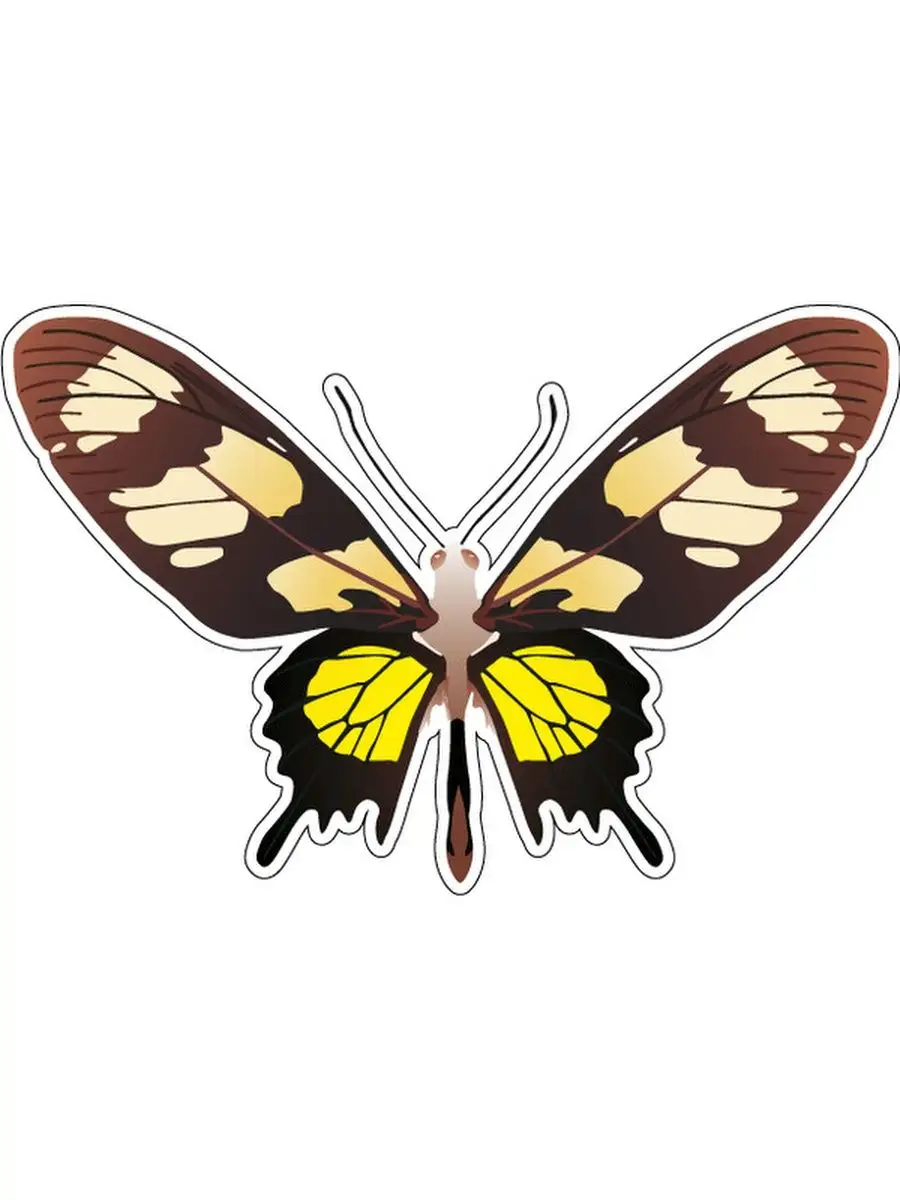 Butterfly 12. Наклейки на холодильник бабочки. Прикольные бабочки вектор. Наклеить бабочек на холодильник