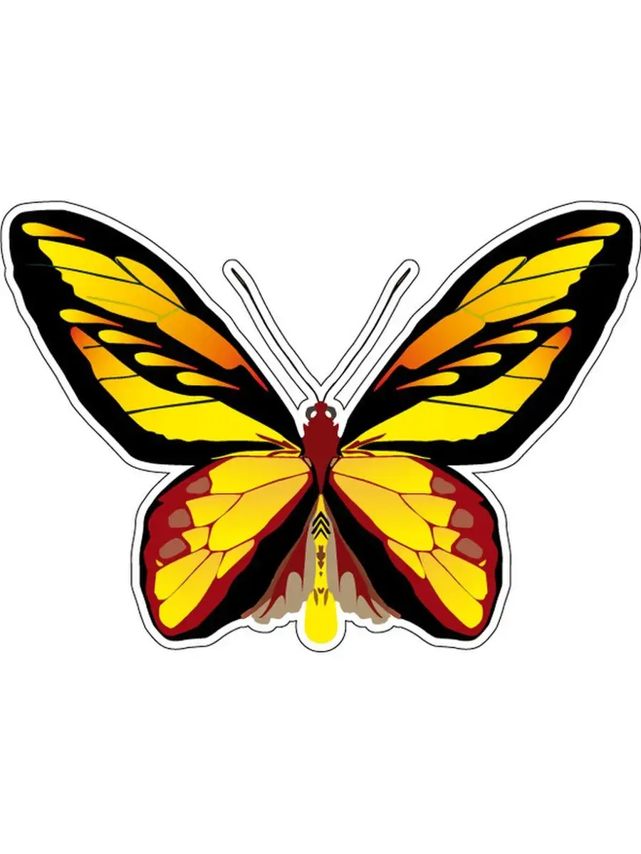 Butterfly 12. Желтая бабочка вектор. Желтая бабочка без фона. Желтая бабочка PNG. Yellow Butterfly PNG