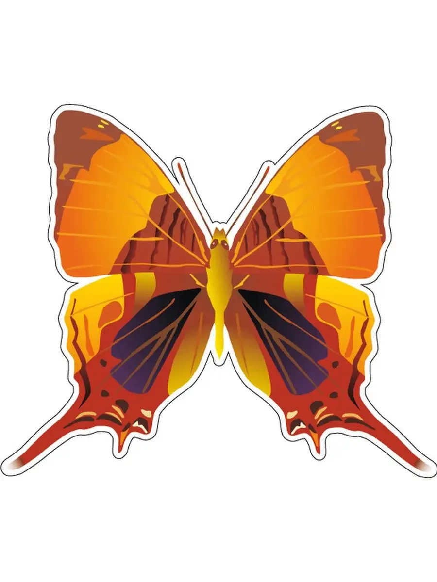 Butterfly 12. Оранжевая бабочка на белом фоне. Часы настенные декоративные с бабочками оранжевые фото