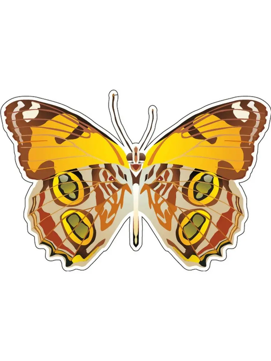 Butterfly 12. Желтая бабочка без фона