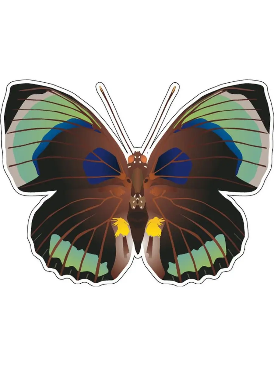 Butterfly 12. Translucent бабочка. Светильник декоративный бабочка. Супурги PNG