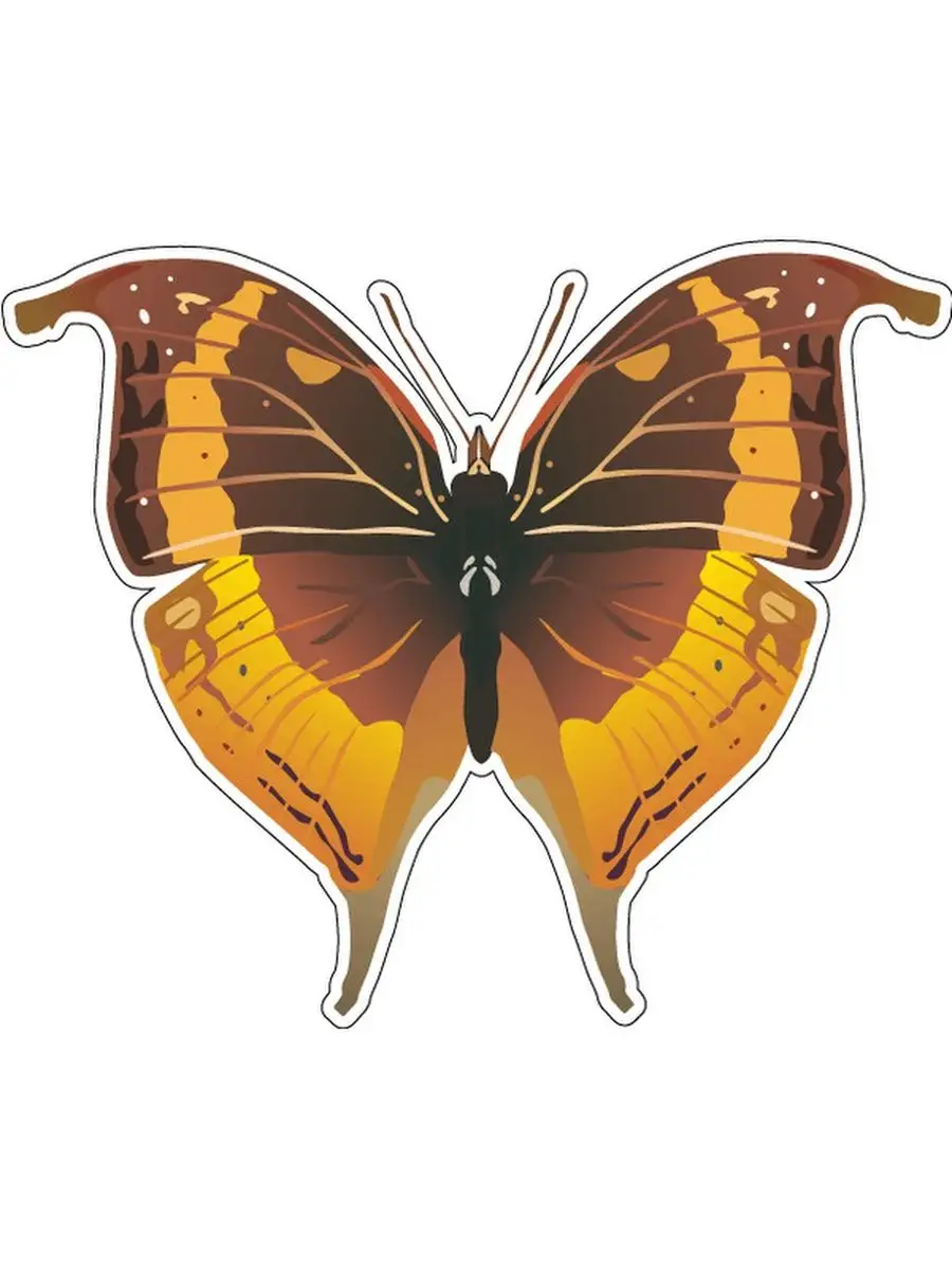 Butterfly 12. Декоративные бабочки. Бабочка декоративная для украшения. Декоративная работа бабочки