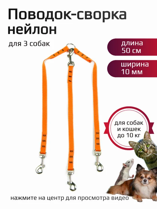 Хвостатыч Сворка для 3 собак нейлон 50 см х 10 мм (оранжевый), оранжевый