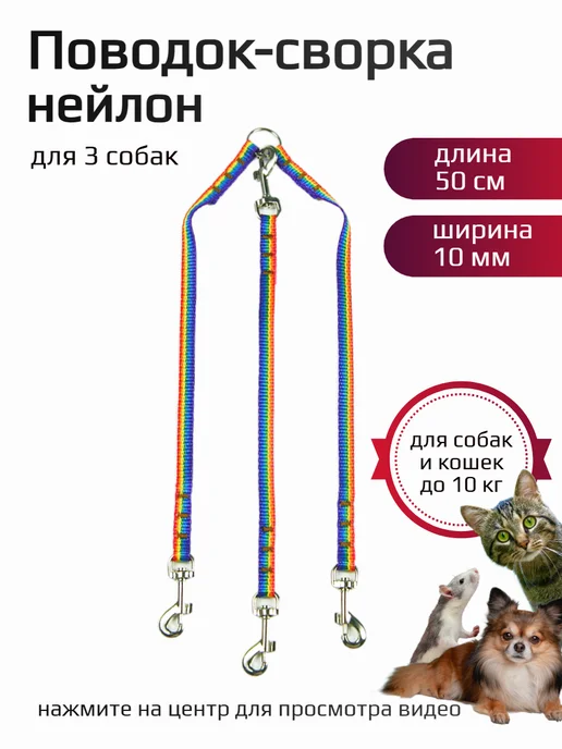 Хвостатыч Сворка для 3 собак нейлон 50 см х 10 мм (разноцветный), синий