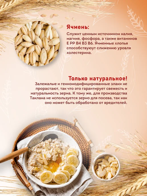 Актирман Талкан из пророщенного зерна 4 злака, вариант, фото 3