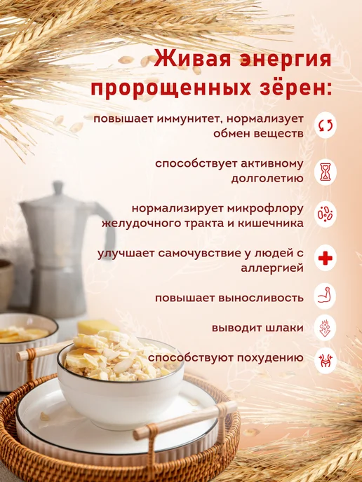 Актирман Талкан из пророщенного зерна 4 злака, вариант, фото 4