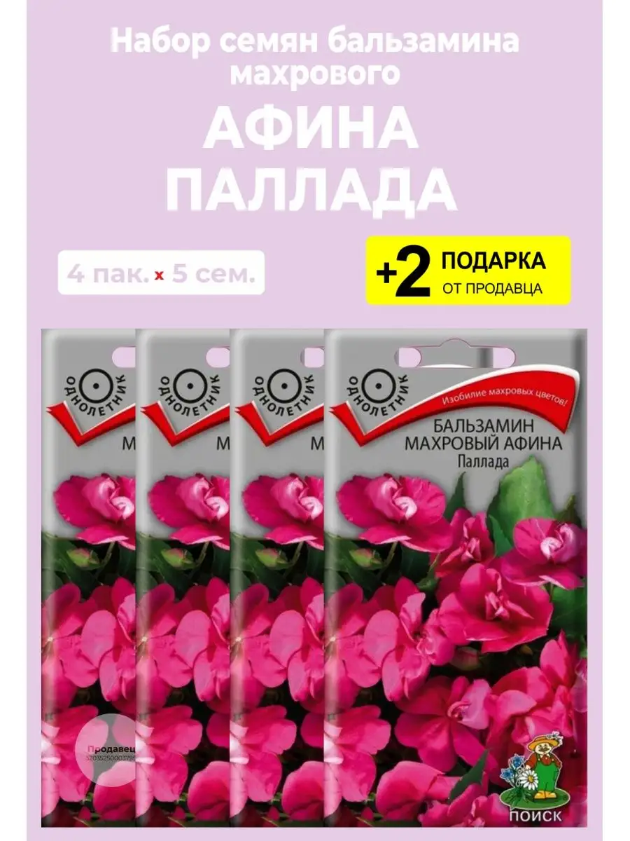 Семена бальзамин Афина Паллада Вырасти дома 101692052 купить за 432 ₽ в  интернет-магазине Wildberries