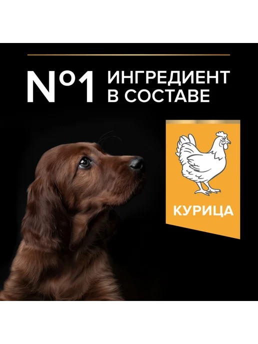 Сухой корм PRO PLAN для собак, крупные, щенки, курица, 12 кг, фото 5