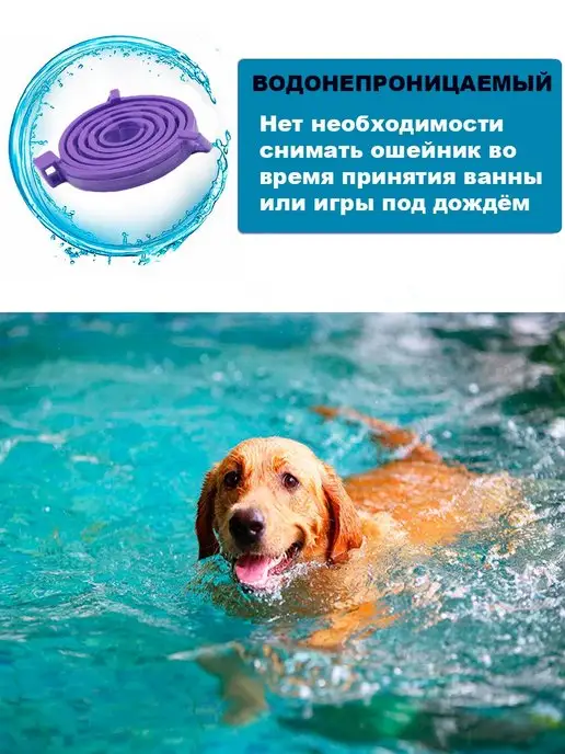 VOKSBIZ Ошейник успокаивающий для собак, фиолетовый, фото 3