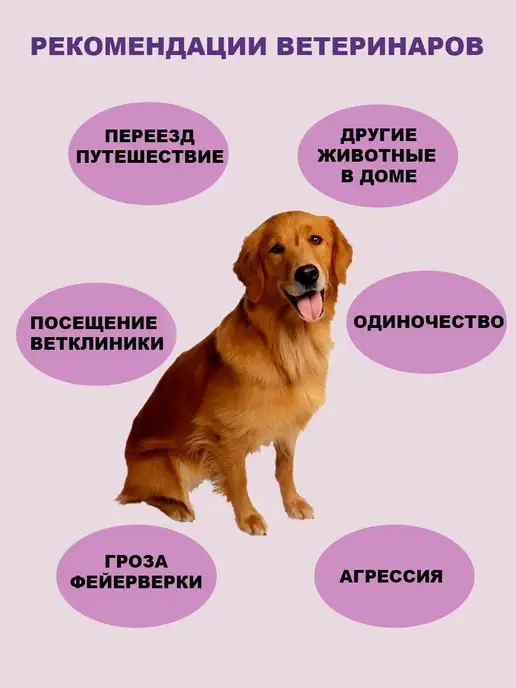 VOKSBIZ Ошейник успокаивающий для собак, фиолетовый, фото 5