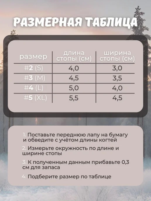ZooMarket <3 Обувь для собак мелких пород зимняя на липучке, черный, фото 3