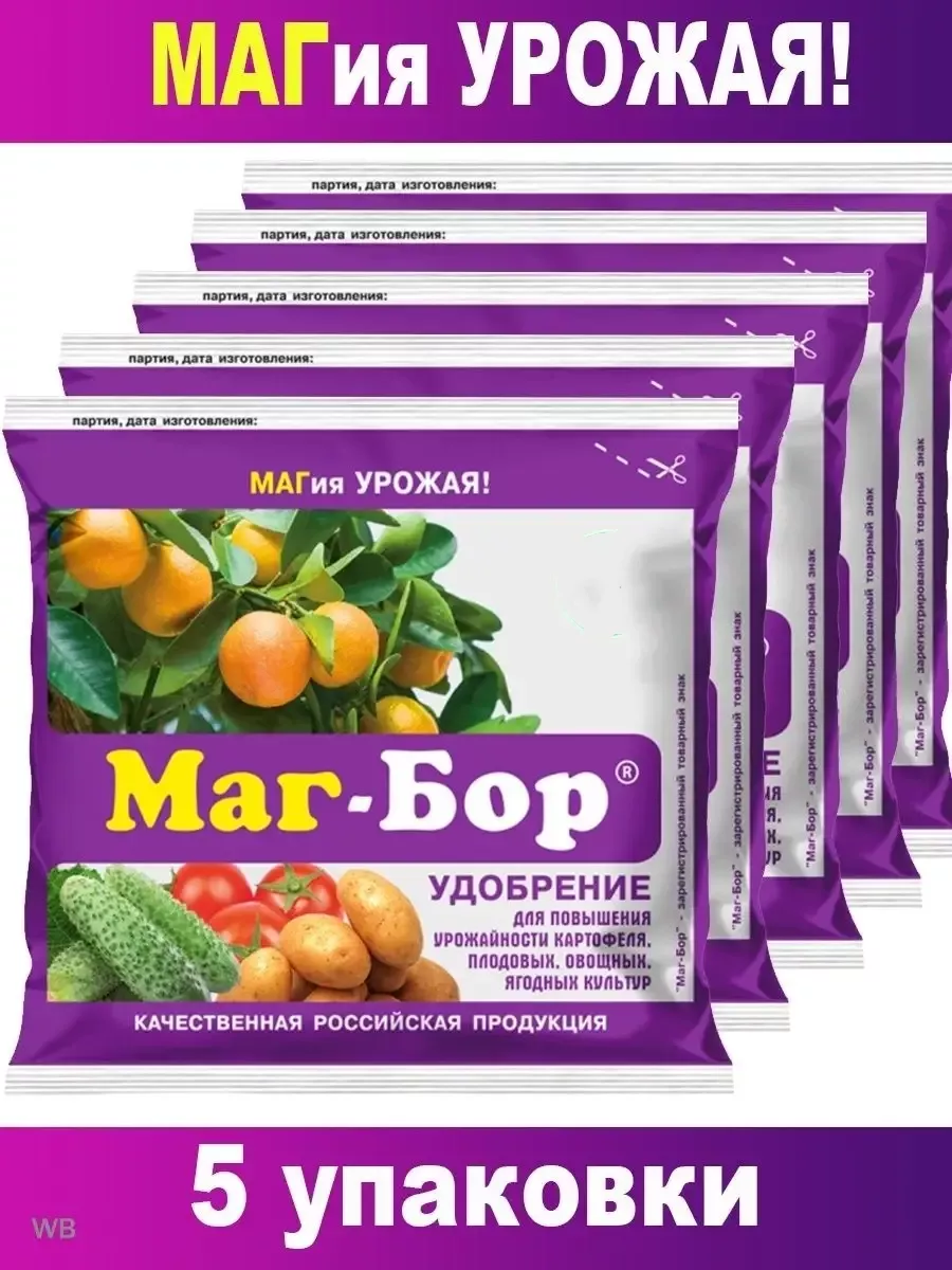 Маг бор