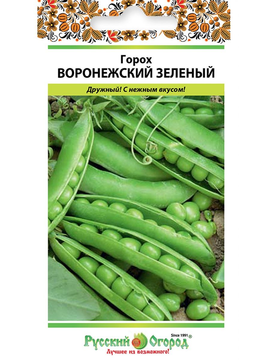 Лущильный сорт гороха. Горох Воронежский зеленый. Российский горох. Горох овощной Воронежский зеленый.