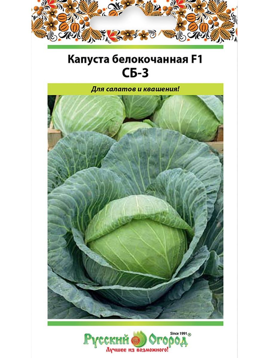 Сорт капусты сб описание. Капуста белокочанная сб-3 f1. Капуста сб описание. Капуста сб-3 описание сорта. Капуста большие кочаны.