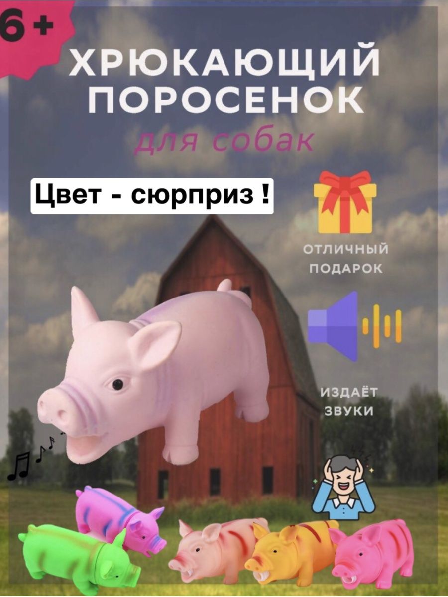 Свинья пищалка для собак Shop Stars 102203068 купить в интернет-магазине  Wildberries