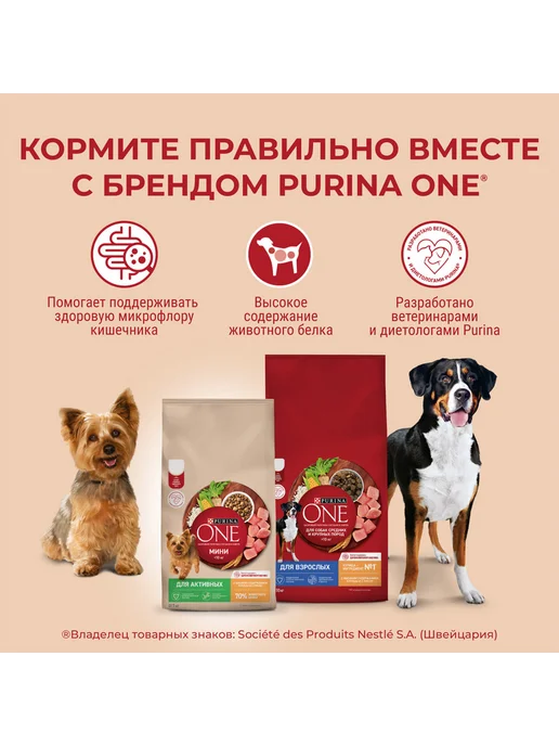 Сухой корм PURINA ONE для собак, крупные, средние, курица, 10 кг, фото 6