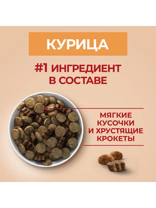 Сухой корм PURINA ONE для собак, крупные, средние, курица, 10 кг, фото 8