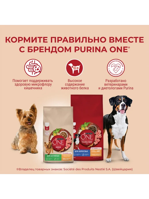 Сухой корм PURINA ONE для собак, крупные, средние, говядина, 10 кг, фото 6