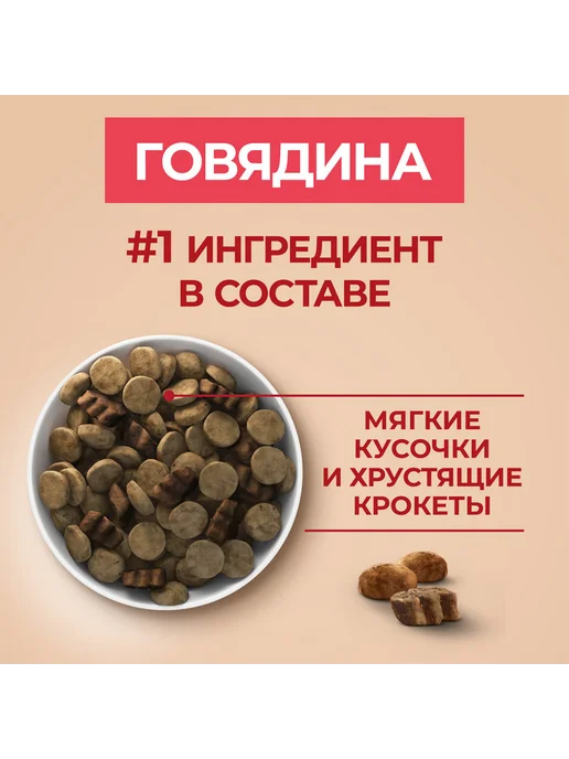 Сухой корм PURINA ONE для собак, крупные, средние, говядина, 10 кг, фото 8