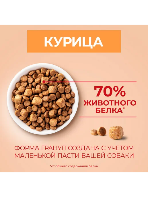 Сухой корм PURINA ONE Активных для собак, мелкие, 0,6 кг, фото 7