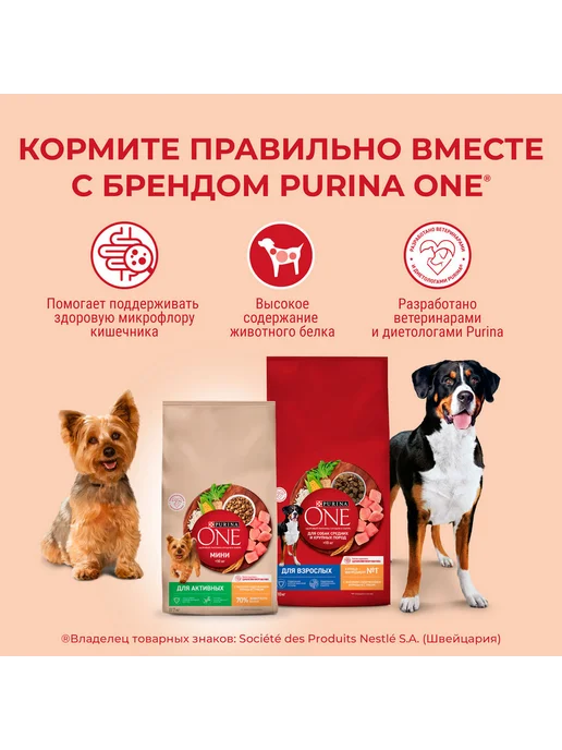 Сухой корм PURINA ONE Пищеварения для собак, мелкие, лосось, 0,6 кг, фото 5