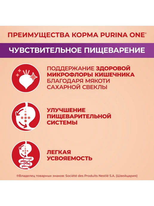 Сухой корм PURINA ONE Пищеварения для собак, мелкие, лосось, 0,6 кг, фото 6