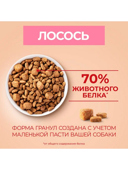 Сухой корм PURINA ONE Пищеварения для собак, мелкие, лосось, 0,6 кг, фото 7