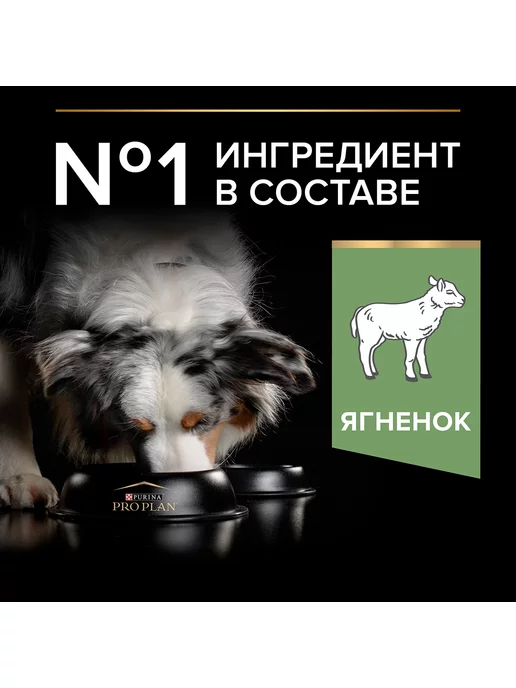Сухой корм PRO PLAN Digestion для собак, средние, чувствительное пищеварение, ягненок, 7 кг, фото 4