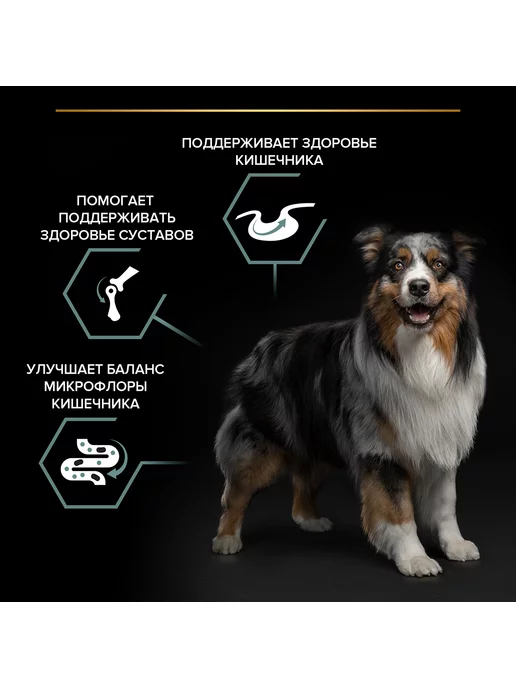 Сухой корм PRO PLAN Digestion для собак, средние, чувствительное пищеварение, ягненок, 7 кг, фото 5