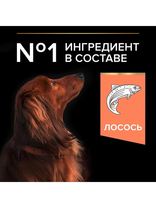 Сухой корм PRO PLAN Skin для собак, мелкие, чувствительное пищеварение, лосось, 0,7 кг, фото 4