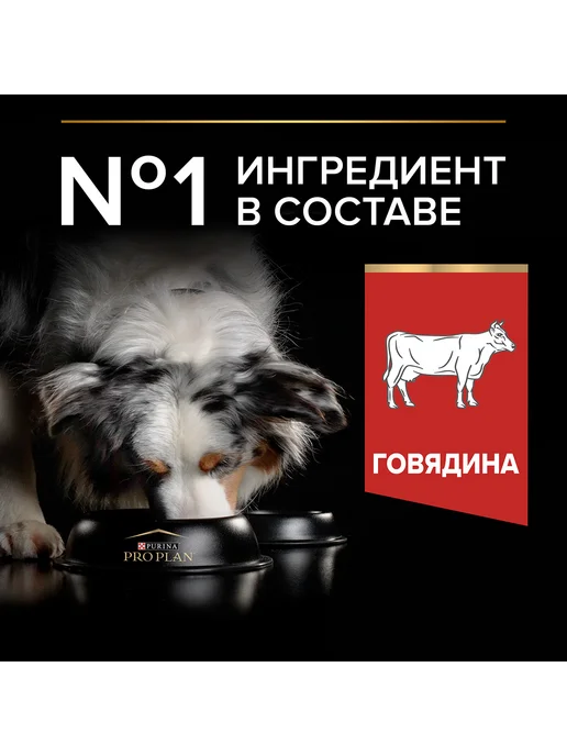 Сухой корм PRO PLAN Duo Delice для собак, крупные, средние, 10 кг, фото 4
