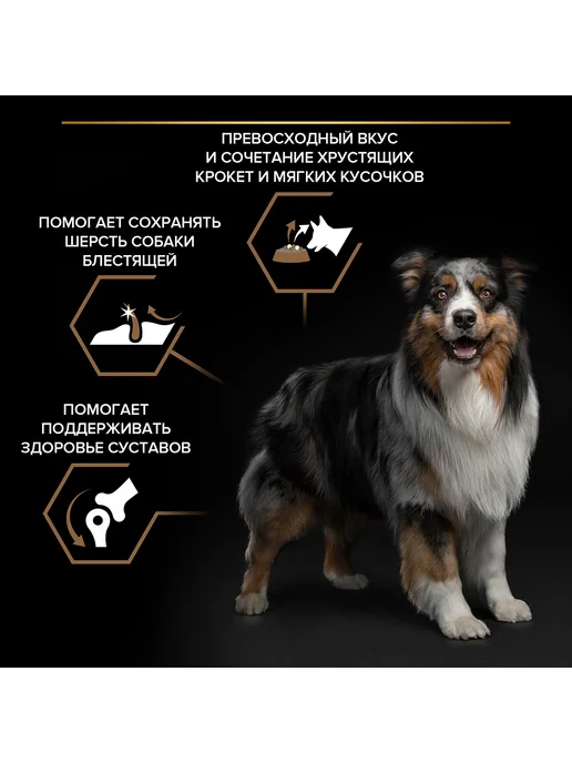 Сухой корм PRO PLAN Duo Delice для собак, крупные, средние, 10 кг, фото 5