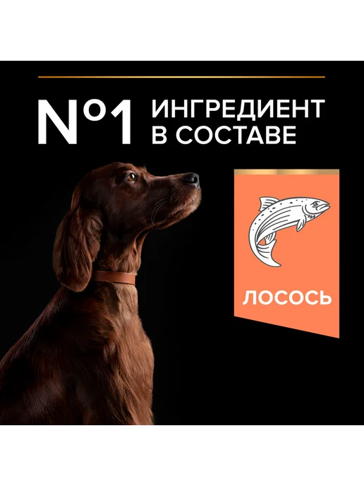 Сухой корм PRO PLAN Opti Derma для собак, крупные, 14 кг, фото 6