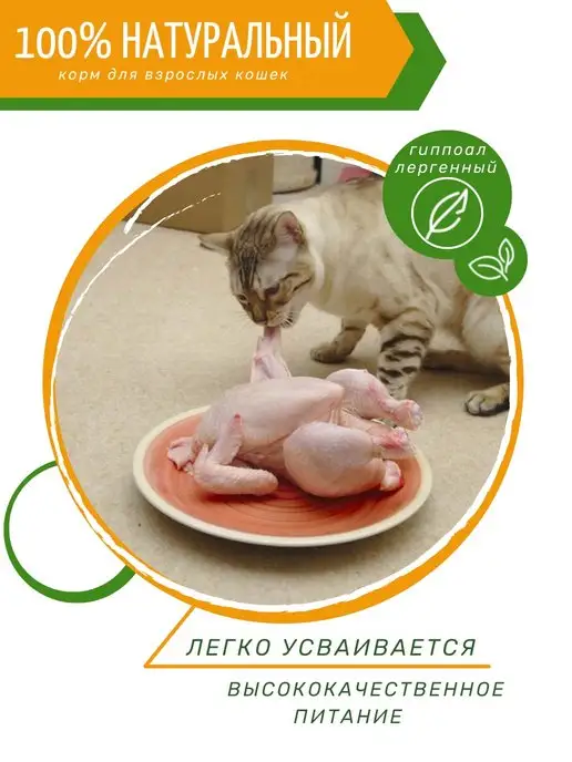 Сухой корм PUFFINS Кошек Вкусная для собак, 1,6 кг, фото 2
