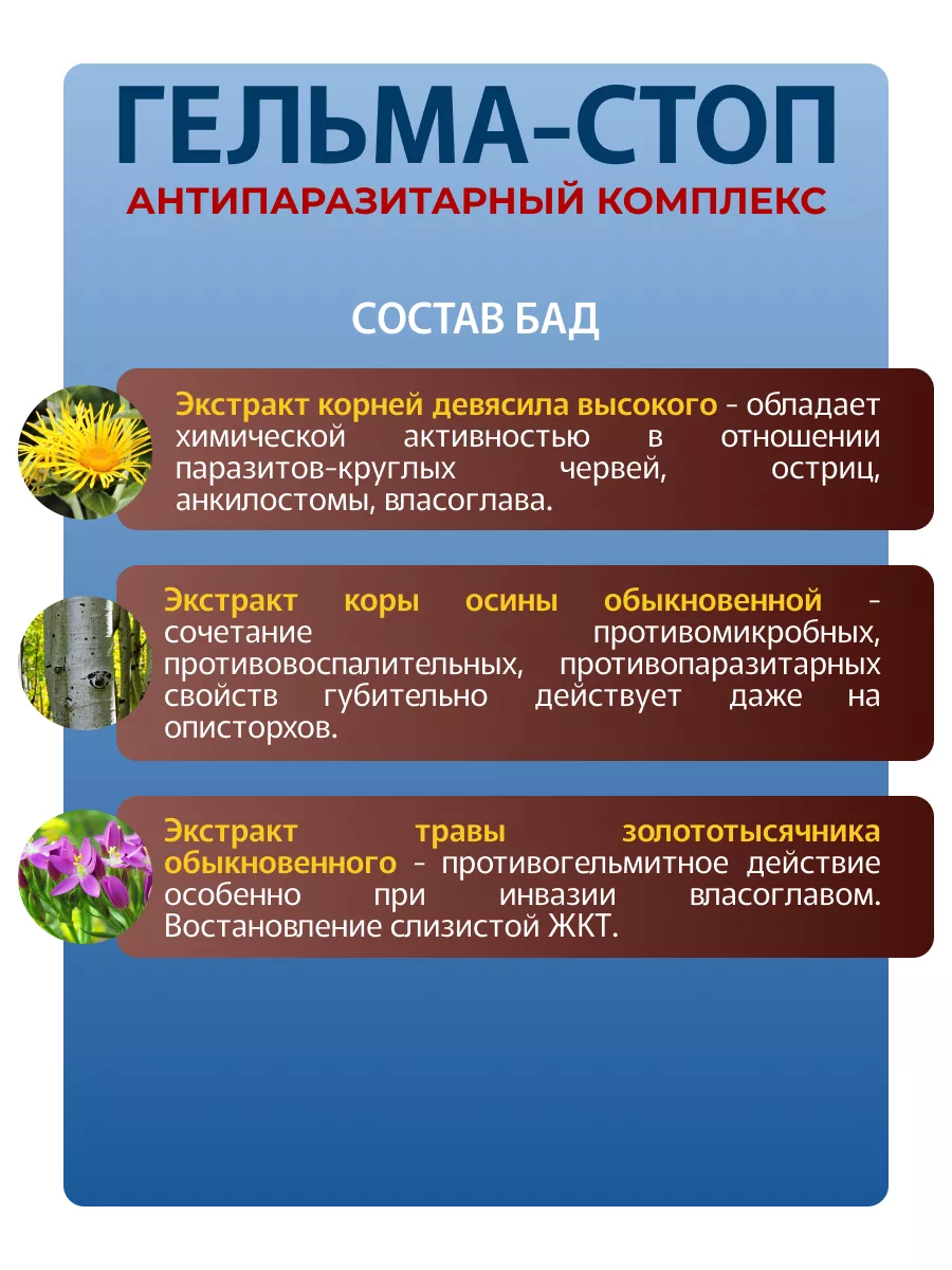 Гельма-Стоп Антипаразитарный комплекс БАД Фитоком Алтай 102422311 купить за  258 ₽ в интернет-магазине Wildberries