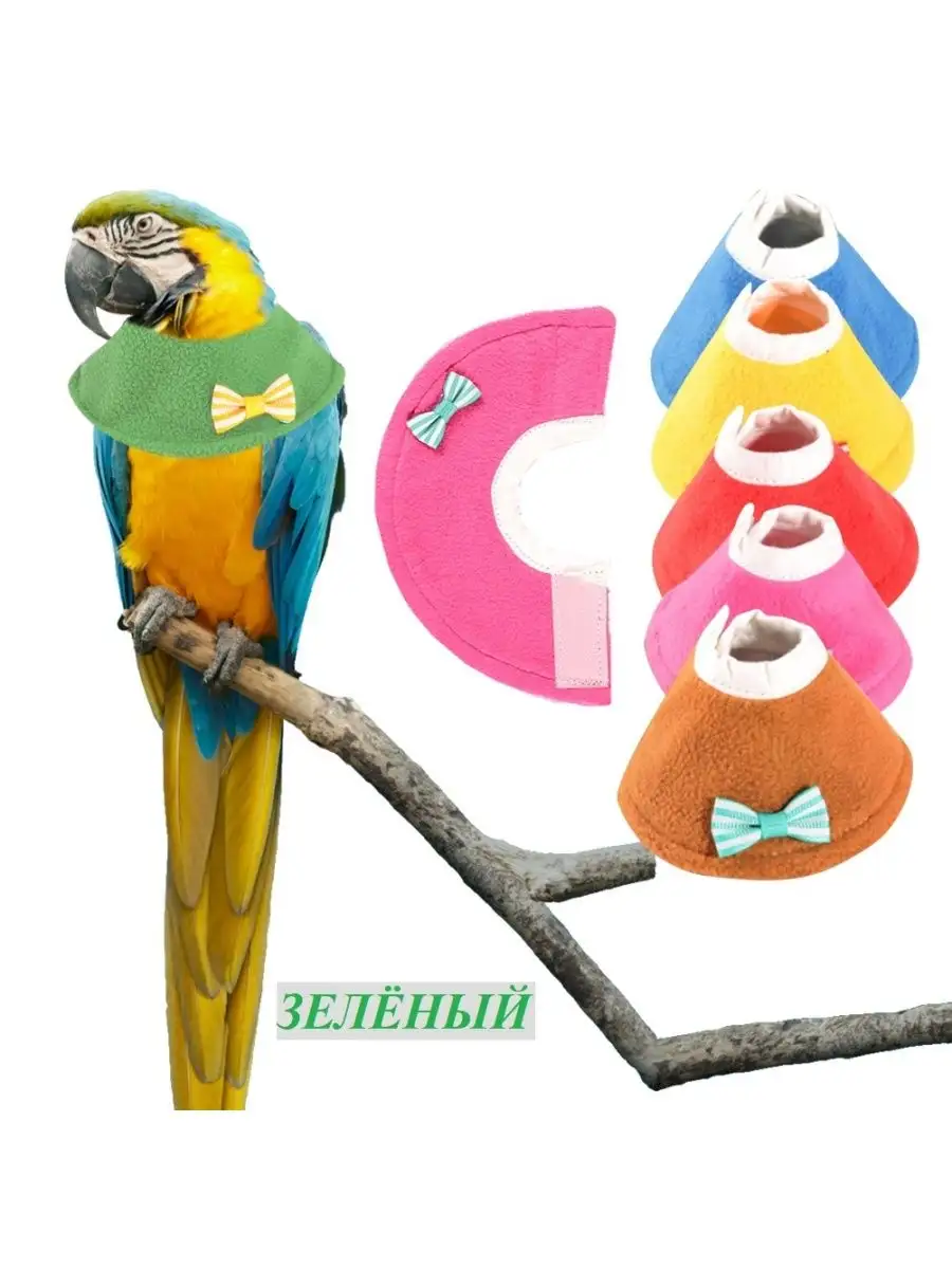 Воротник ветеринарный для птиц, попугаев