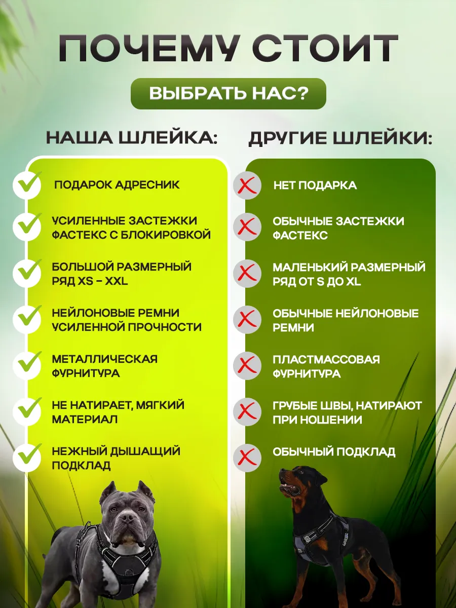 рентген собаки порно Шлейка анатомическая для собак крупных и средних пород АлеНат 102490947 купить за 728 сом в интернет-магазине Wildberries