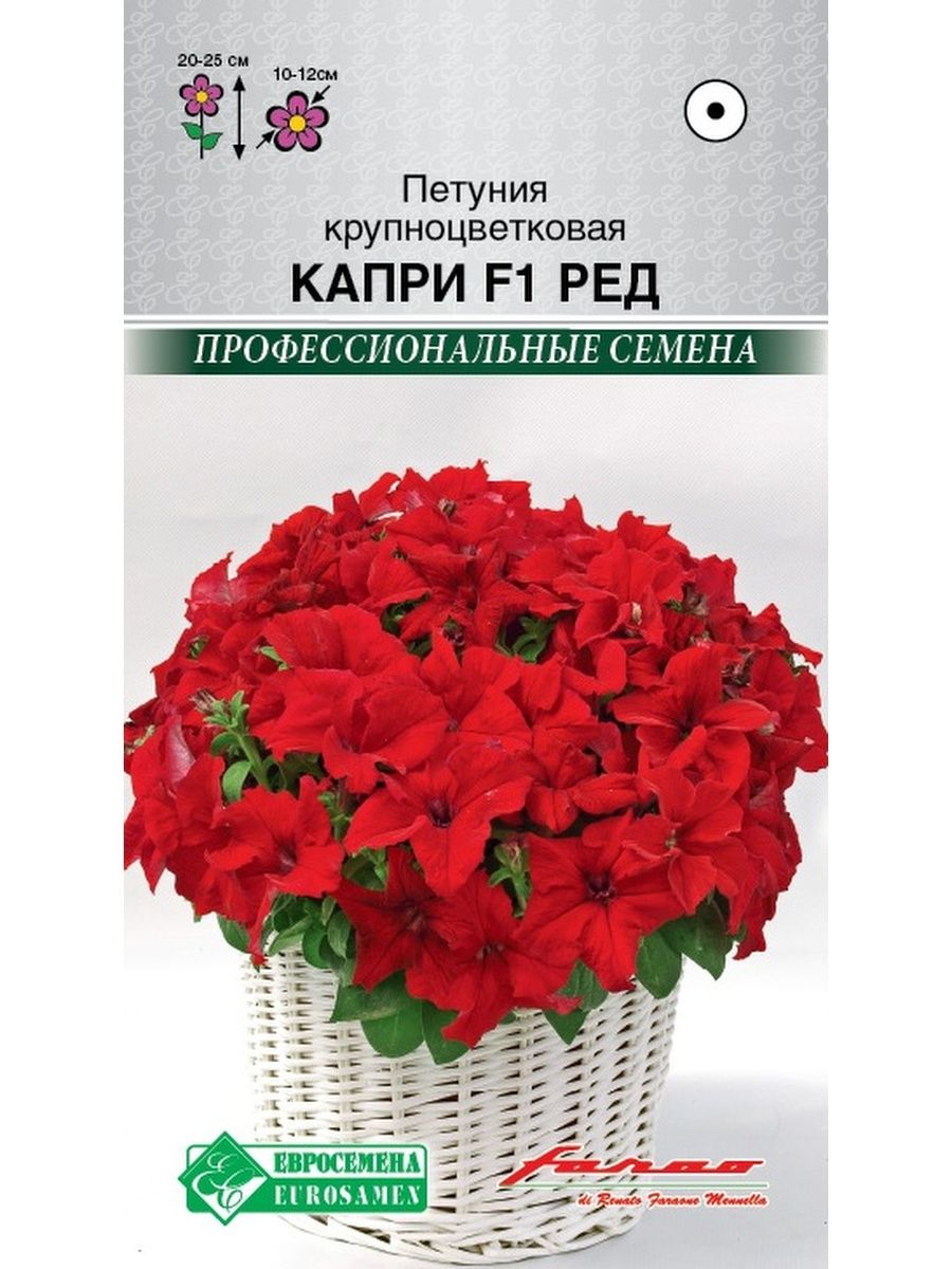 Петуния капри ред. Петуния полуампельная Capri Red. Петуния Сферика. Грандифлора капри ред.