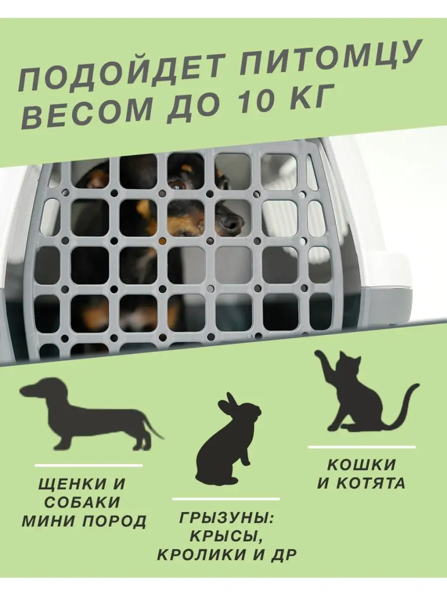 Переноски для кошек | Рюкзак переноска для кошек с доставкой в Москве